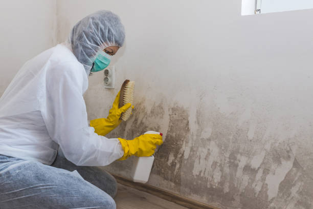 Best Mold Prevention Services  in Whitewater, WI